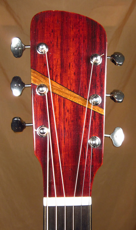 Laughlin RL Guitar